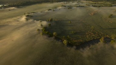Yukarıdan bir güzel dar ve dolambaçlı nehir manzarası.