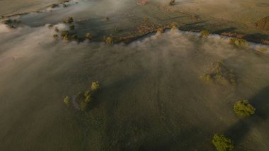 Yukarıdan bir güzel dar ve dolambaçlı nehir manzarası.