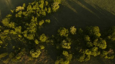 Yukarıdan farklı kırsal alanları göster