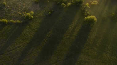 Bir dron ile güzel sahne