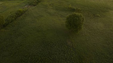 Bir dron ile güzel sahne
