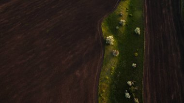 Bir dron ile güzel sahne