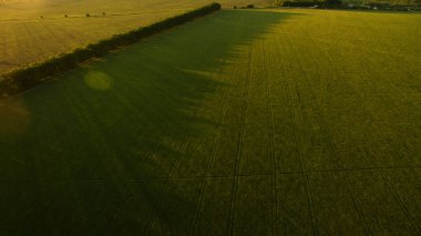 Yukarıdan farklı kırsal alanları göster