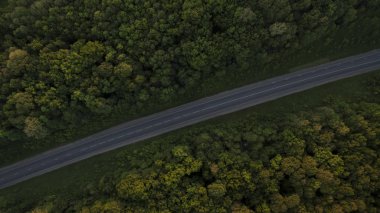 Orman ve yol dron güneş doğarken kaldırıldı.