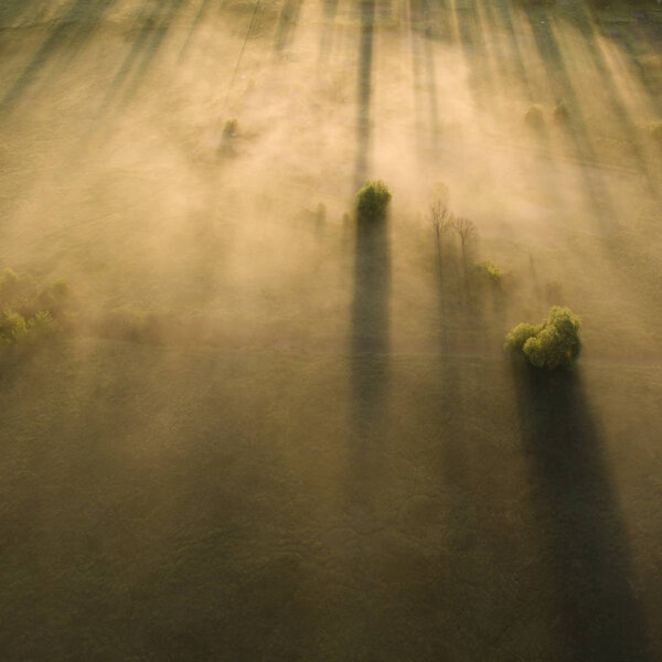 Красивый пейзаж с дроном
