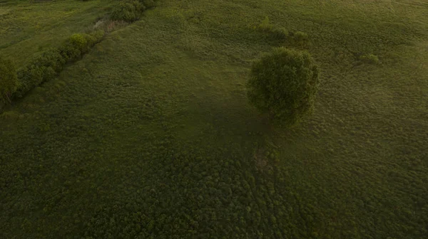 Beautiful scenery with a drone — Stock Photo, Image