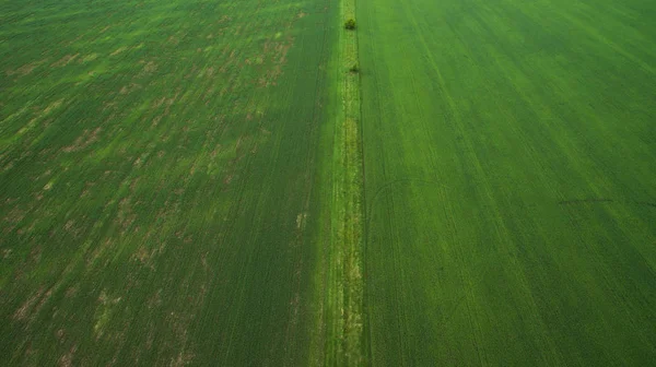 Blick von oben auf verschiedene ländliche Felder — Stockfoto