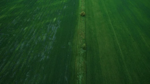 Hermoso paisaje con un dron — Foto de Stock