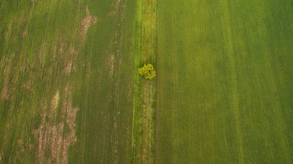 Different rural fields view from above — Stock Photo, Image