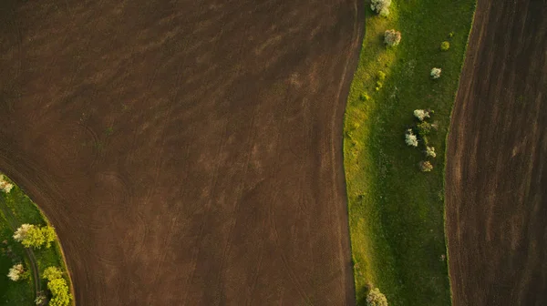 Красивый пейзаж с дроном — стоковое фото