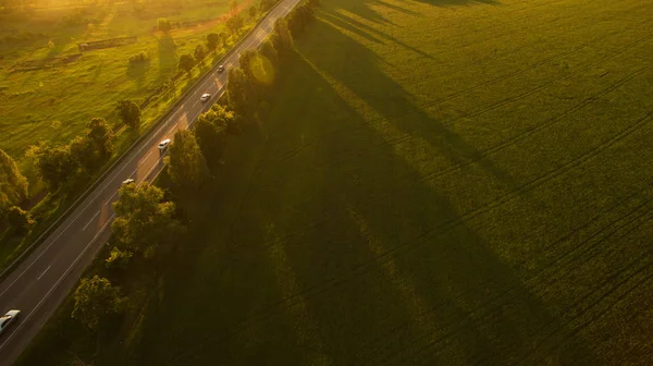 Лес и дорога, удаленные от дрона на восходе солнца . — стоковое фото