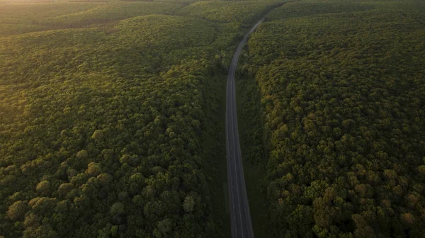 Orman ve yol dron güneş doğarken kaldırıldı.