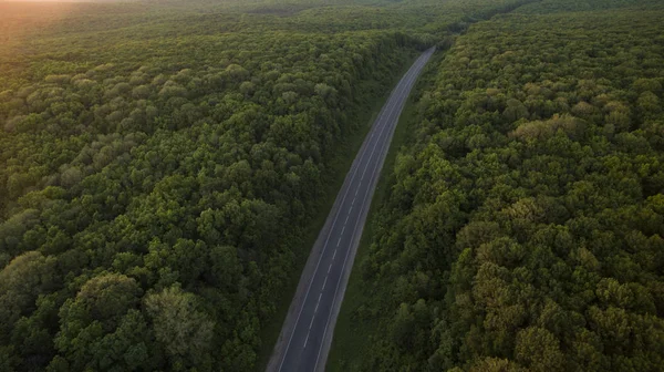 Orman ve yol dron güneş doğarken kaldırıldı.