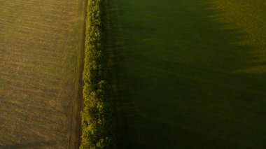 Araç güzel günbatımı atış