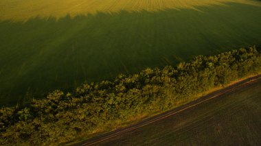 Araç güzel günbatımı atış