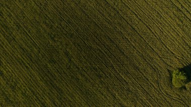 Yukarıdan alan görünümünde yolu