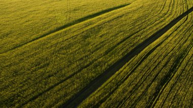 Yukarıdan alan görünümünde yolu