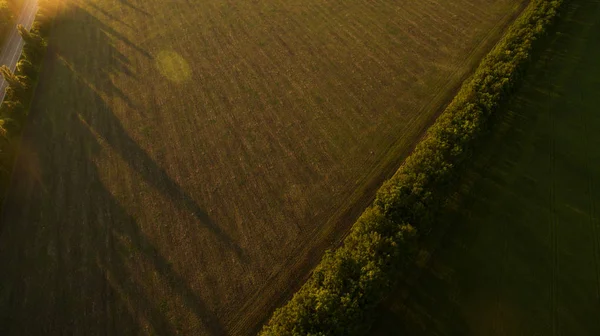 Gyönyörű naplemente szemcsésedik-ból a drone — Stock Fotó