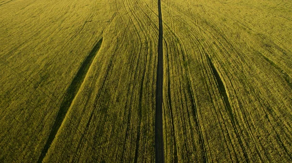 Caminho na vista de campo de cima — Fotografia de Stock