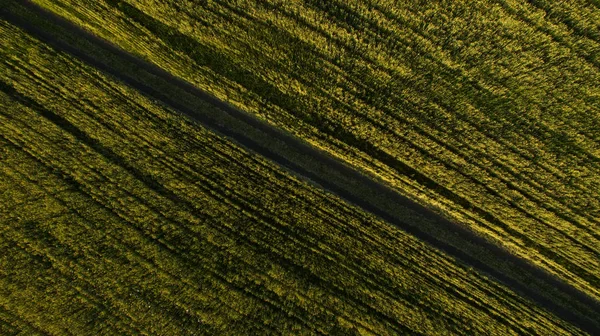 Chemin dans la vue de champ d'en haut — Photo