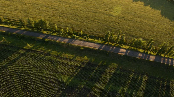 Beautiful Field View — Stock Photo, Image