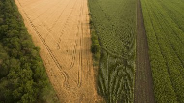 Alanları arasındaki yol yukarıdan görülmektedir