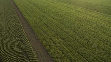 Alanları arasındaki yol yukarıdan görülmektedir