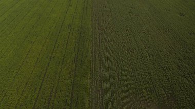 Yukarıdan güzel farklı alanları göster