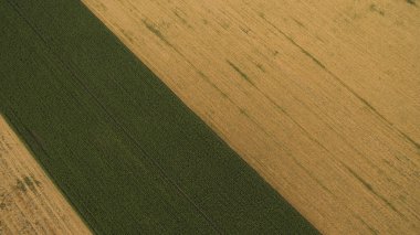 Yukarıdan güzel farklı alanları göster