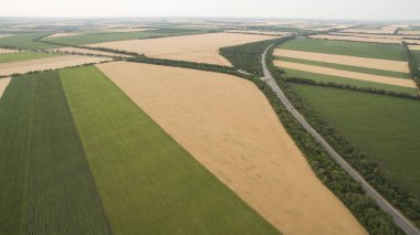 Yukarıdan güzel farklı alanları göster