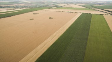 Yukarıdan güzel farklı alanları göster