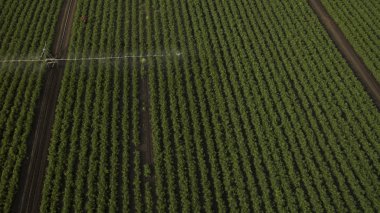 Yukarıdan güzel farklı alanları göster