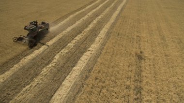 Tarlada çalışan traktör.