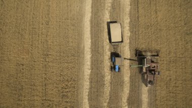 Tarlada çalışan traktör.