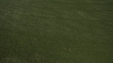 Yukarıdan güzel farklı alanları göster