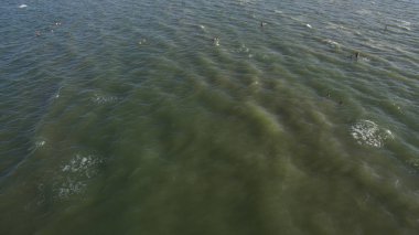 Wakeboarding denizde