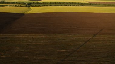 Gün batımında farklı alanları