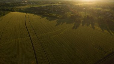 Gün batımında farklı alanları