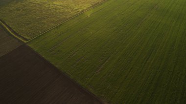Gün batımında alanının hava fotoğrafçılığı