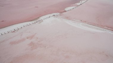 Pembe gölün hava fotoğrafçılığı