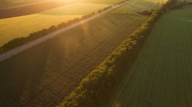 Yol alanları ana sayfa görünümü