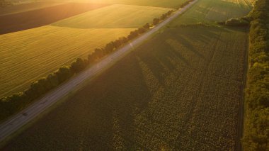 Yol alanları ana sayfa görünümü