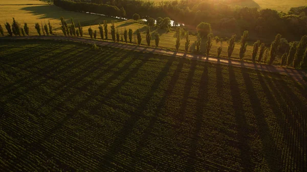 Beautiful Field View — Stock Photo, Image