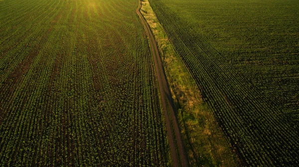 Yukarıdan güzel alan görünümü