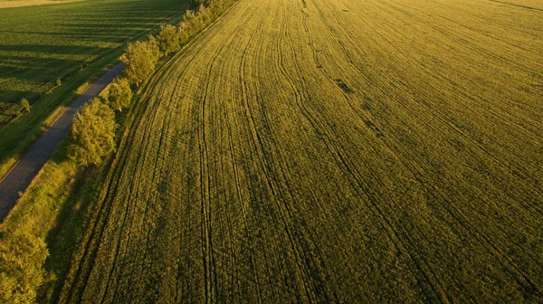 Hermosa Vista Del Campo Desde Arriba — Foto de Stock