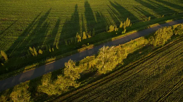 Piękny Widok Pola Góry — Zdjęcie stockowe