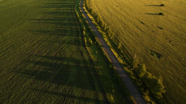 Beautiful Field View — 스톡 사진