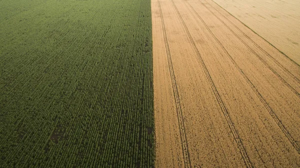 Schöner Blick von oben auf verschiedene Felder — Stockfoto