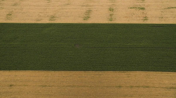 Schöner Blick von oben auf verschiedene Felder — Stockfoto