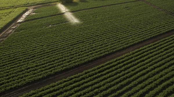 Belos campos diferentes vista de cima — Fotografia de Stock